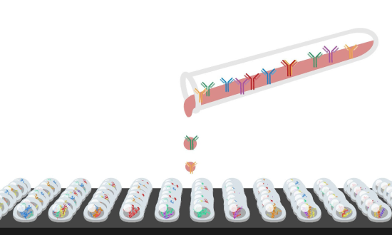 血液をアレイに反応させるイメージ